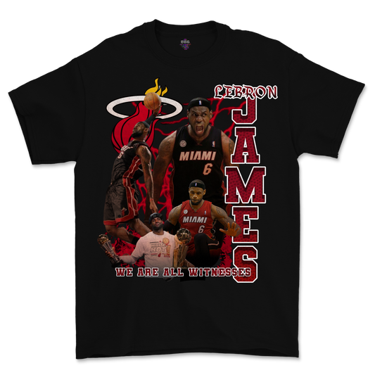 The Villain of Miami - Lebron James Tribute Graphic T-Shirt